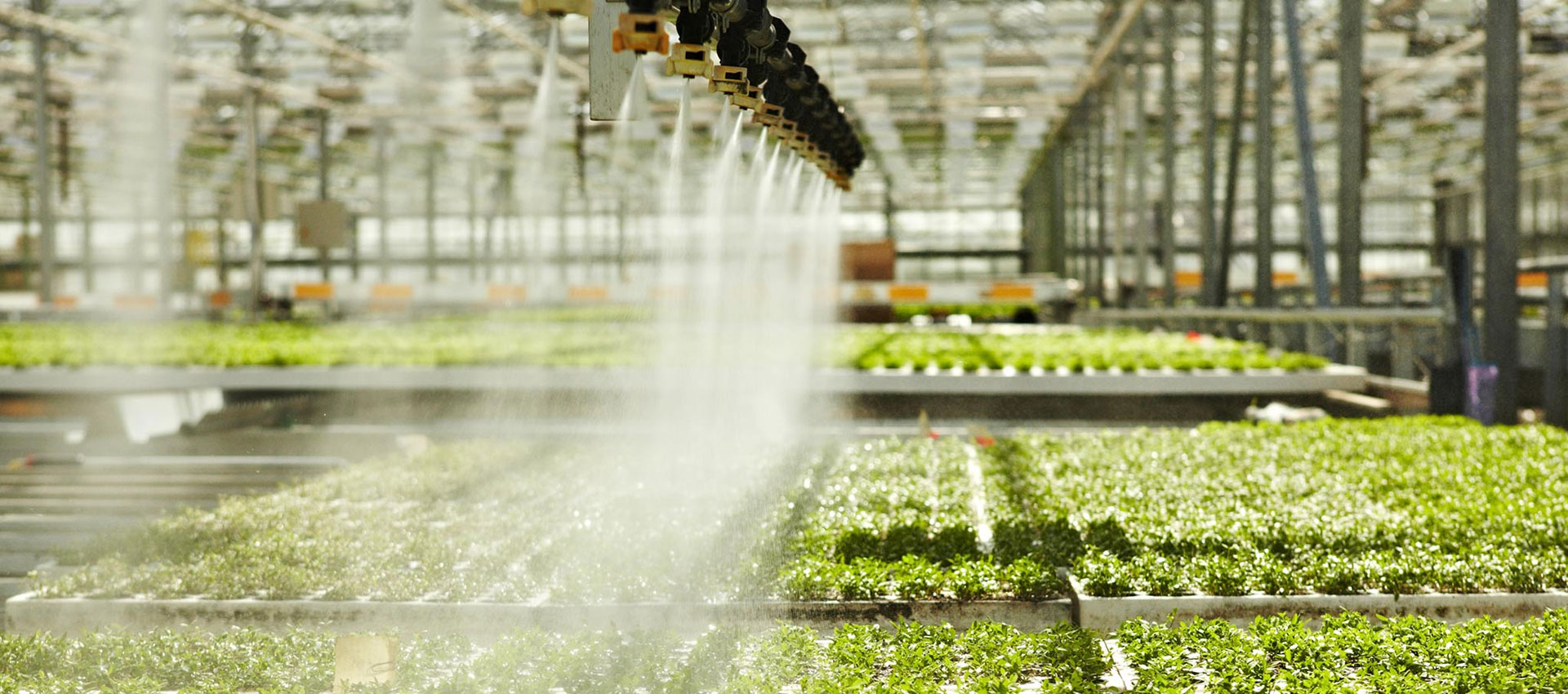 Irrigazione agricola